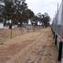 Lone Pine Speedway