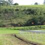 Malniri Park Stud