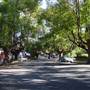 Marrickville Neighbourhood