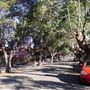 Marrickville Neighbourhood