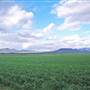 Narrabri