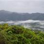 Mullumbimby Area