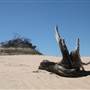Mungo National Park