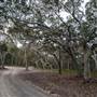 Murramarang National Park