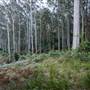 Murramarang National Park