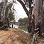 Murrumbidgee River