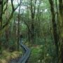 New England National Park