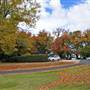 Orange and surrounds