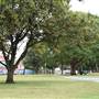 Newtown
