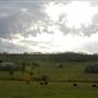 Menangle Area