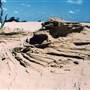 Milkengay Lake Sand Dunes