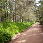 Milton Park Country House Hotel & Spa