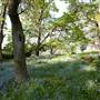 Milton Park Country House Hotel & Spa