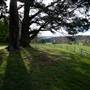 Milton Park Country House Hotel & Spa