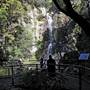 Minnamurra Falls