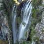 Minyon Falls - Nightcap National Park