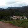 Moruya