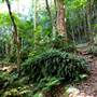 Mount Keira Scout Camp File 1