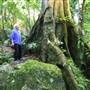 Mount Keira Scout Camp File 1