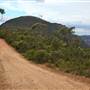 Mt Banks Summit Walk & Picnic Area
