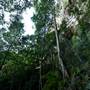 Jamison Valley Walk - Blue Mountains National Park