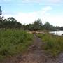 Navua Reserve - Grose River