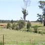 Riverstone Farmland & Eastern Creek