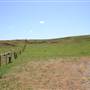 Riverstone Farmland & Eastern Creek