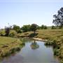 Riverstone Farmland & Eastern Creek