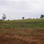 Paddys Creek Rd, Dubbo