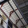 Parramatta Correctional Centre