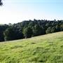 Rolling Hills - Southern Highlands