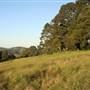 Rolling Hills - Southern Highlands