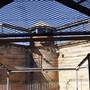 Parramatta Correctional Centre