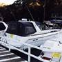 Roseville Bridge Marina