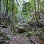 Royal National Park