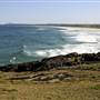 Sawtell