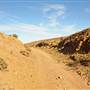 Silverton Landscapes