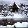Thredbo in Winter