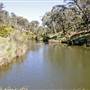 Tia Falls