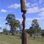 Walcha