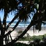 Shelly Beach & Shelly's On the Beach Café