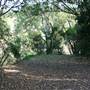 Stotts Island Nature Reserve