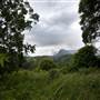 Tweed Valley 1 of 2