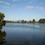 Tweed River - Tumbulgum