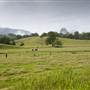 Tweed Valley 1 of 2