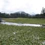 Tweed Valley 1 of 2