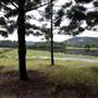 Tweed Valley 1 of 2