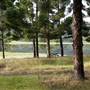 Tweed Valley 1 of 2