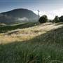 Tweed Valley 1 of 2